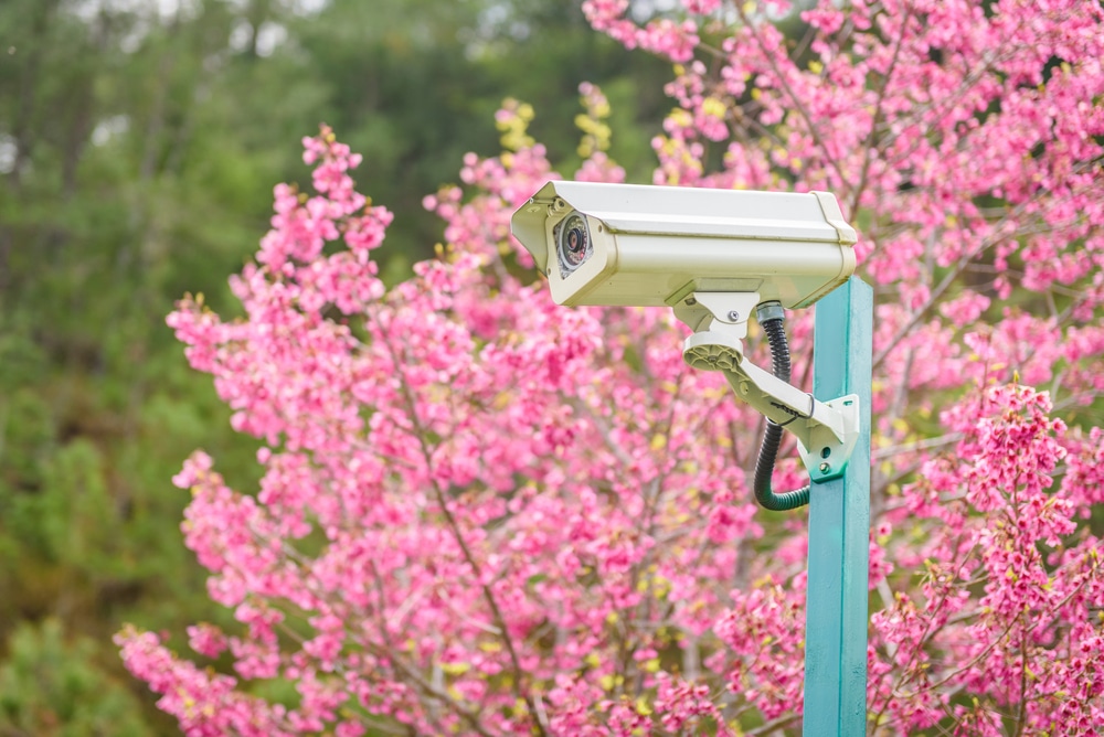 Spring Fling – It’s Time To Warm Up  Security