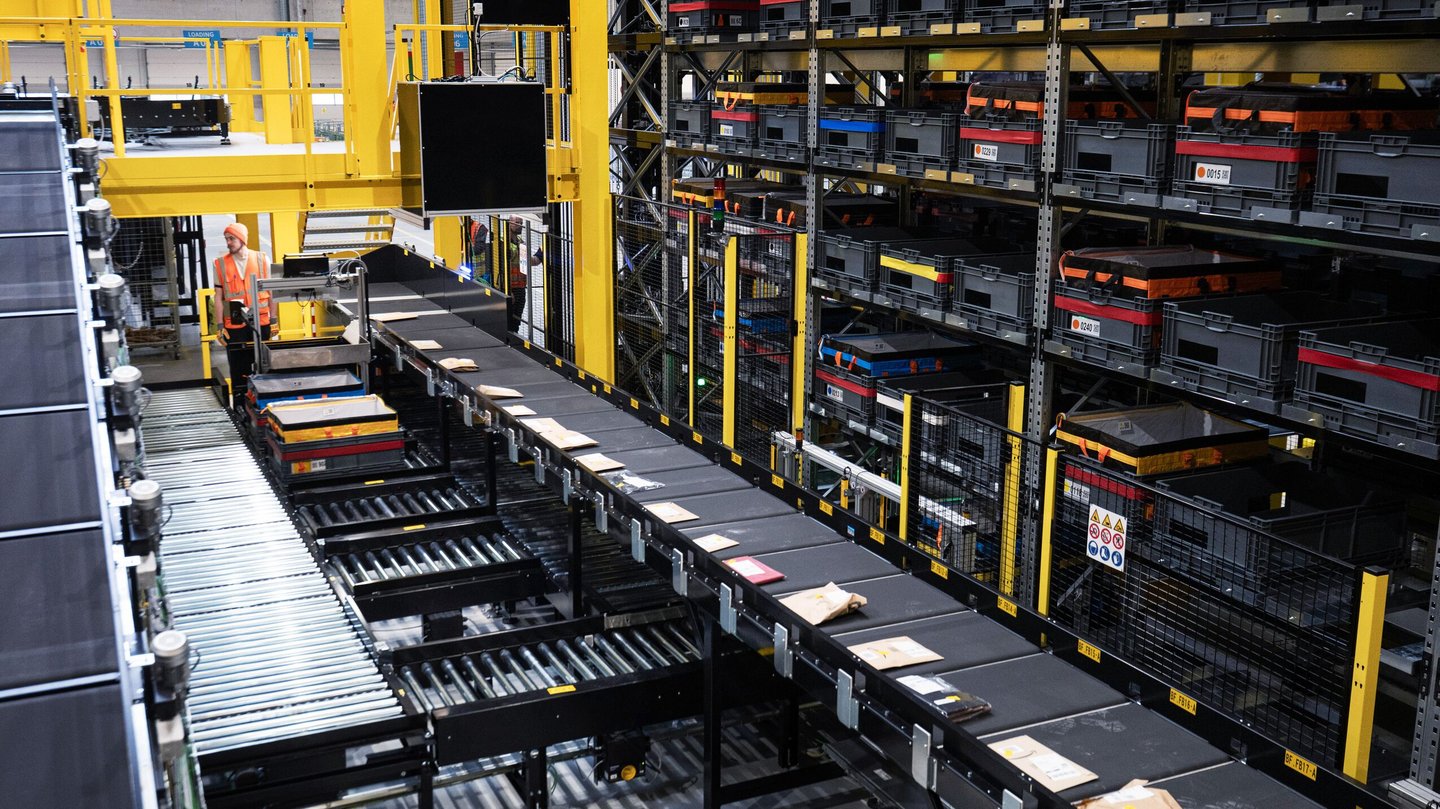 Amazon Zancasort