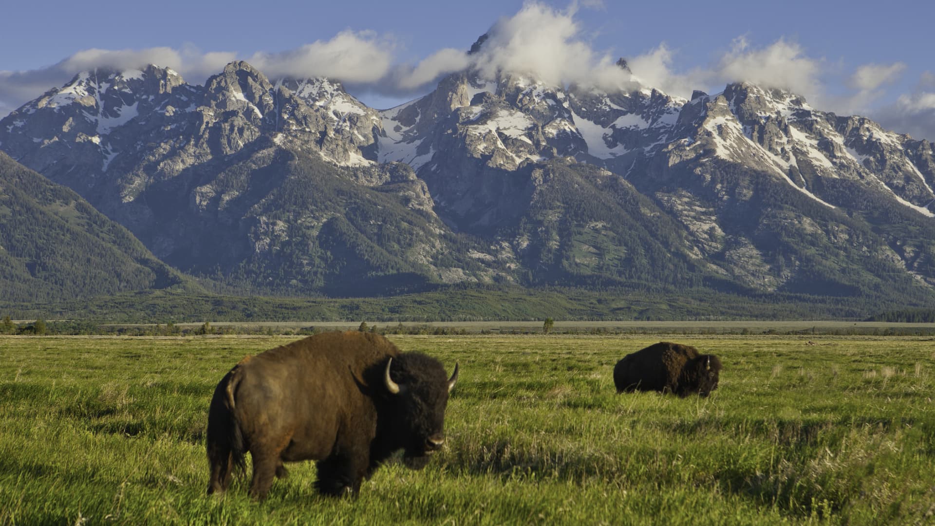 108159184-1749831194055-gettyimages-522684140-grandteton0052.jpeg