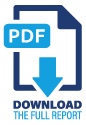 download pdf report