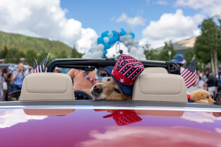Dog_in_fourth_of_july_parade_Nathan_Bilow_Getty_Images.jpg