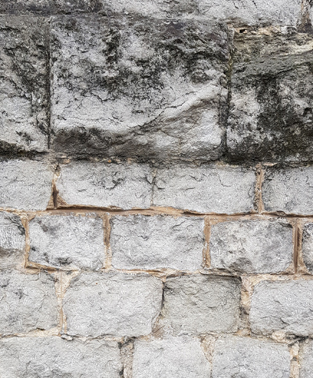 Prisonwall311-optimized.jpg