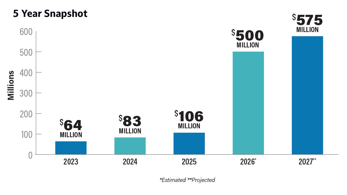 5 Year Snapshot